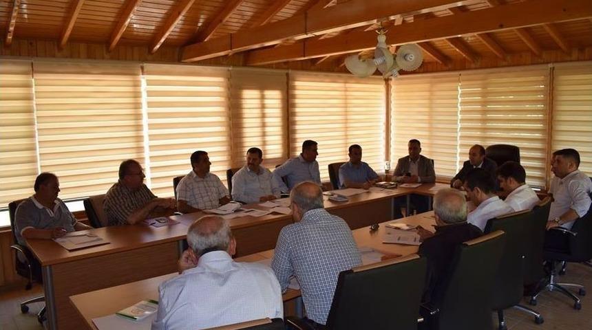 Altın&ouml;z&uuml; İl&ccedil;esinde Zeytin Ve Zeytinyağı Festivali Yapılacak