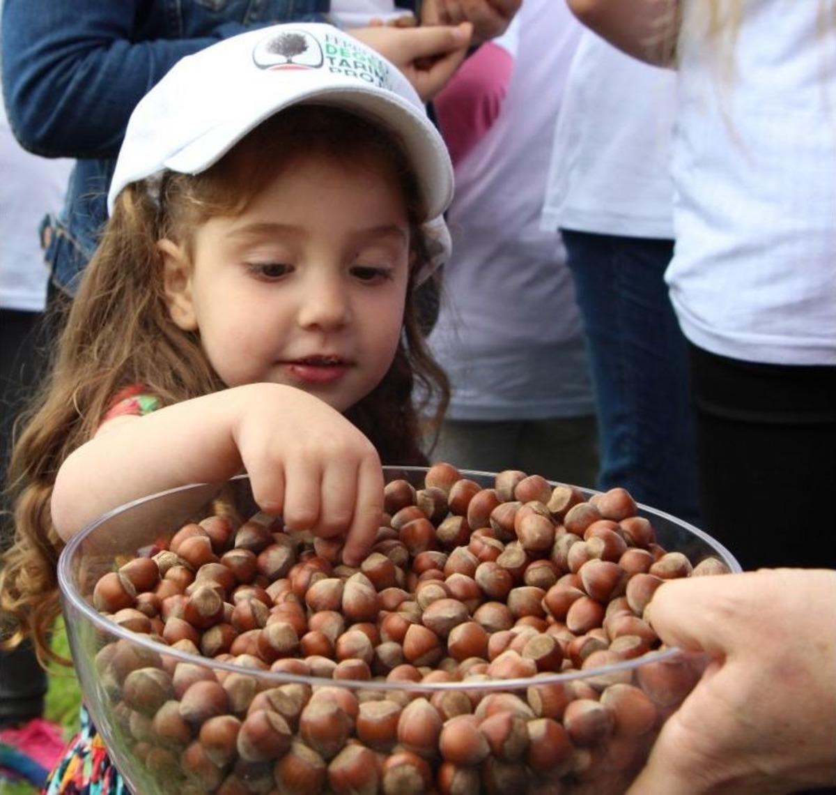 Minik &Ouml;ğrencilere &lsquo;fındık&rsquo; Anlatıldı