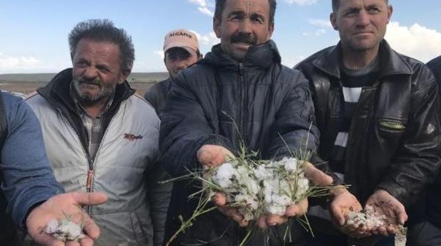 Konya'da Meyve Bah&ccedil;elerini Ve Ekili Arazileri Dolu Vurdu