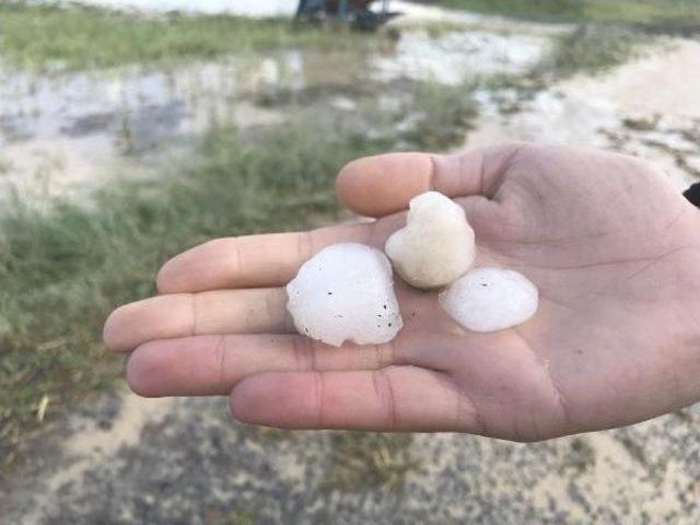 Konya'da Meyve Bahçelerini Ve Ekili Arazileri Dolu Vurdu