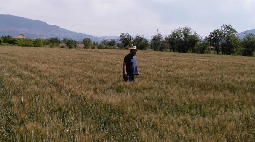 Antalya&rsquo;da S&uuml;ne İle M&uuml;cadele