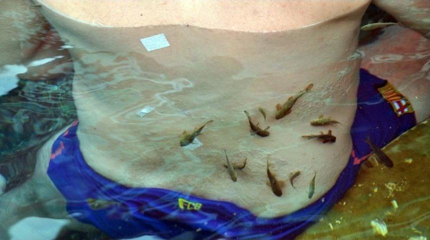 Doktor Balıklar Sırrını Koruyor.