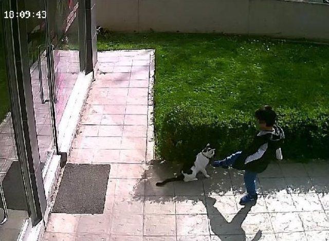 Veterinerler Odası ndan Saldırıya Tepki 2