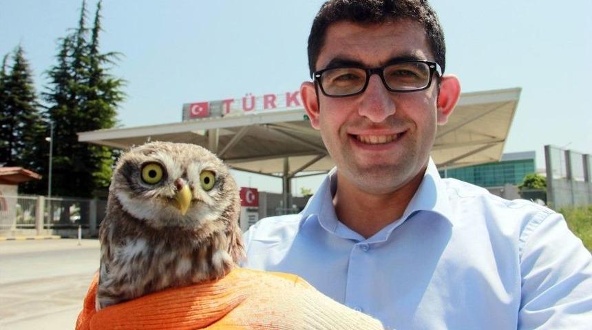(&ouml;zel Haber) T&uuml;rk G&uuml;mr&uuml;k&ccedil;&uuml;den &Ouml;rnek Hayvan Sevgisi