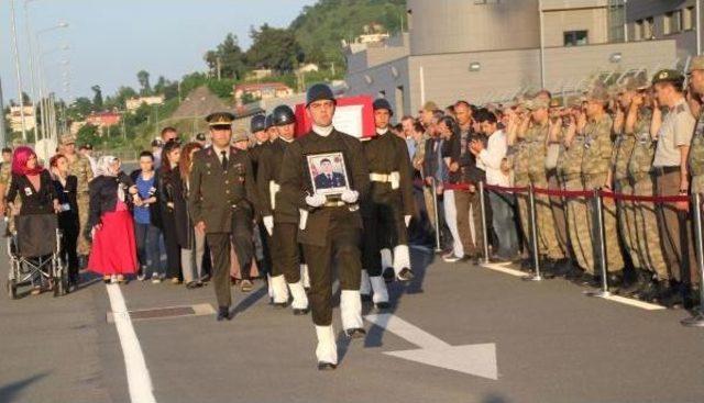 Ordu'ya Şehit Ateşi Düştü (2)