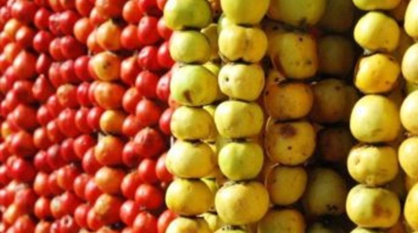 &ldquo;alı&ccedil; Sirkesi İle Kalbinize Dost Olun&rdquo;