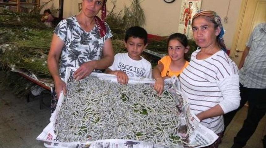 İpek &Uuml;retimiyle Eğitime Destek Sağlıyorlar
