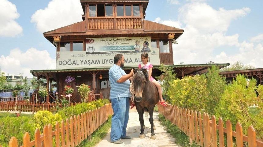 Ke&ccedil;i&ouml;ren&rsquo;de Dolu Dolu Bir Yaz Ge&ccedil;irecekler