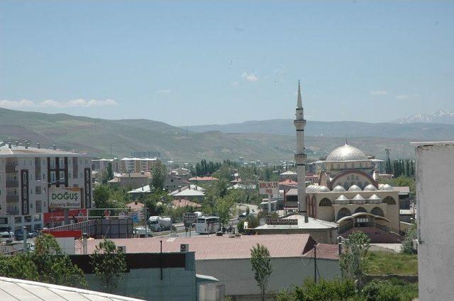 Van’da Polenle Mücadele