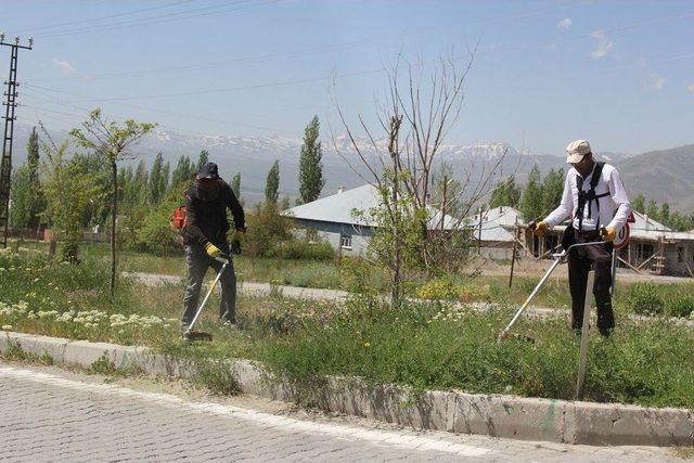 Başkale Belediyesine 3 Adet Motorlu Ot Bi&ccedil;me Tırpanı 1