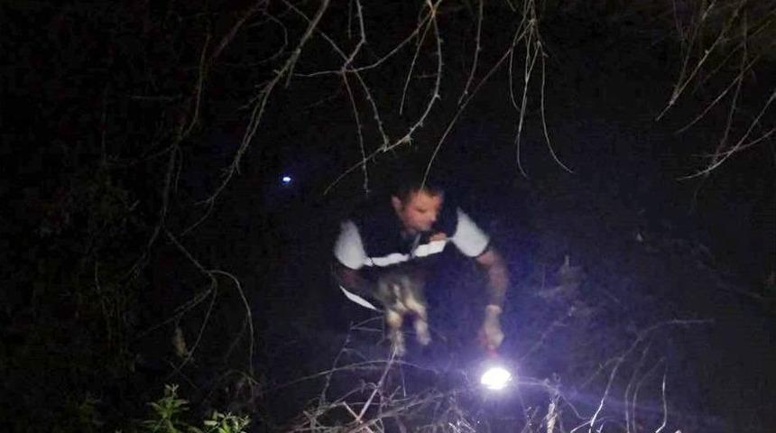 &Ccedil;aya D&uuml;şen Yavru K&ouml;peği İtfaiye Kurtardı