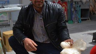 Bu Mantarın Fiyatı Etten Pahalı