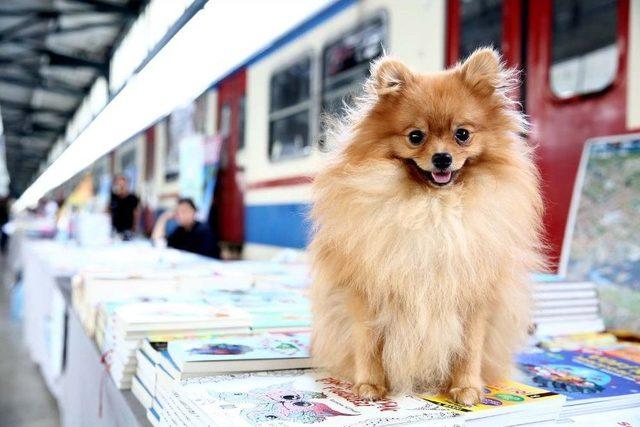 Kadık&ouml;y Kitap G&uuml;nleri&rsquo;nde Son D&ouml;rt G&uuml;n 2