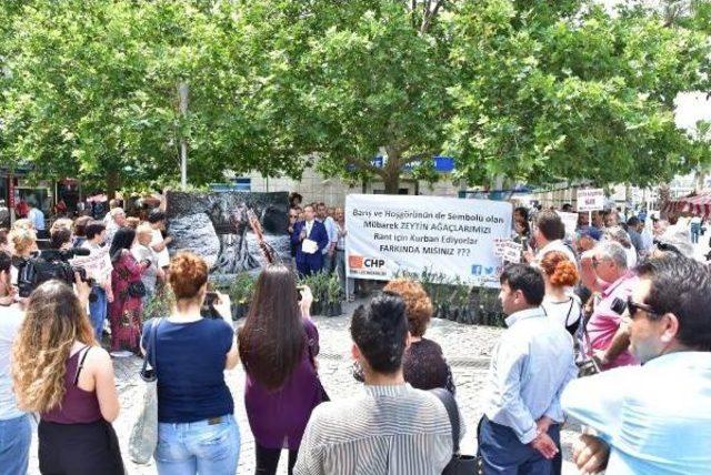 Konak'ta Chp'lilerden Zeytin Eylemi