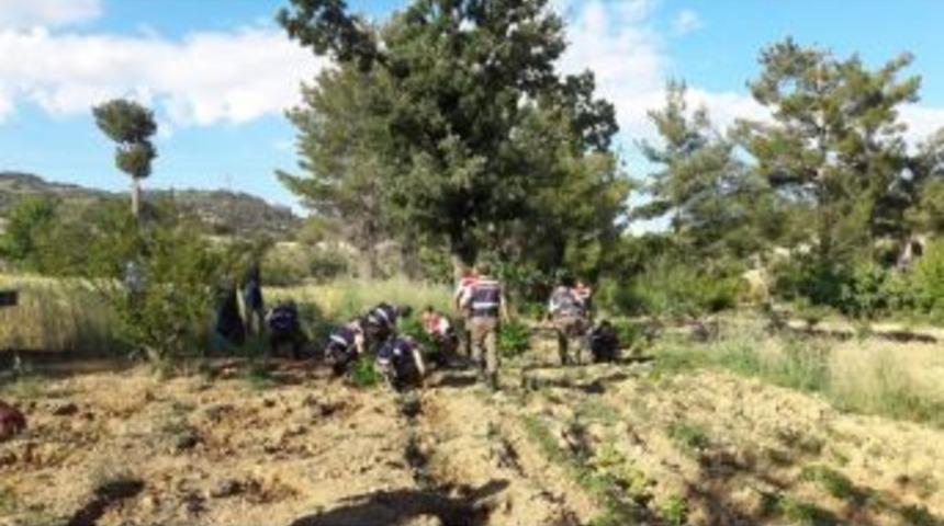 Mersin&rsquo;de Uyuşturucu Operasyonu