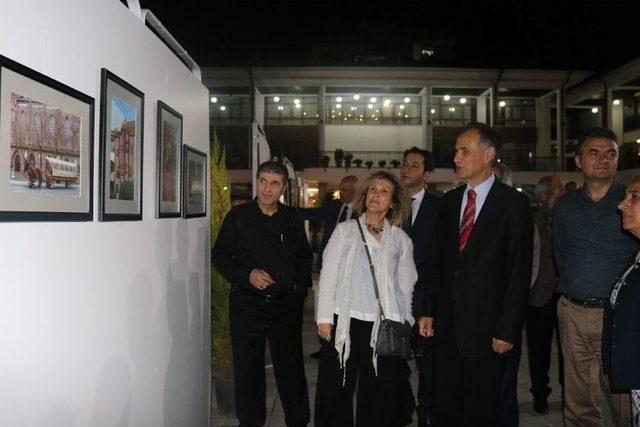 Hamam Çimeni ’renk’lendi