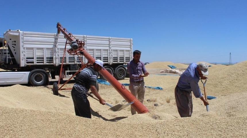 Verimli Hasat Hem &Ccedil;ift&ccedil;iyi Hem De Esnafı Mutlu Etti