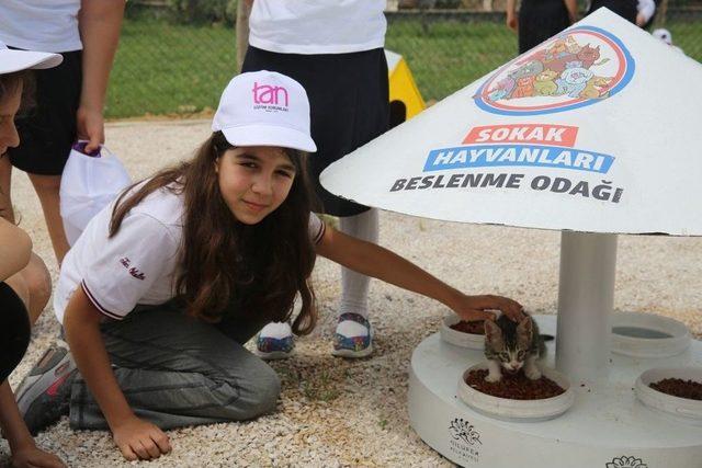 Nilüfer’in İlk Kedi Parkı Öğrencilerin Desteğiyle Açıldı