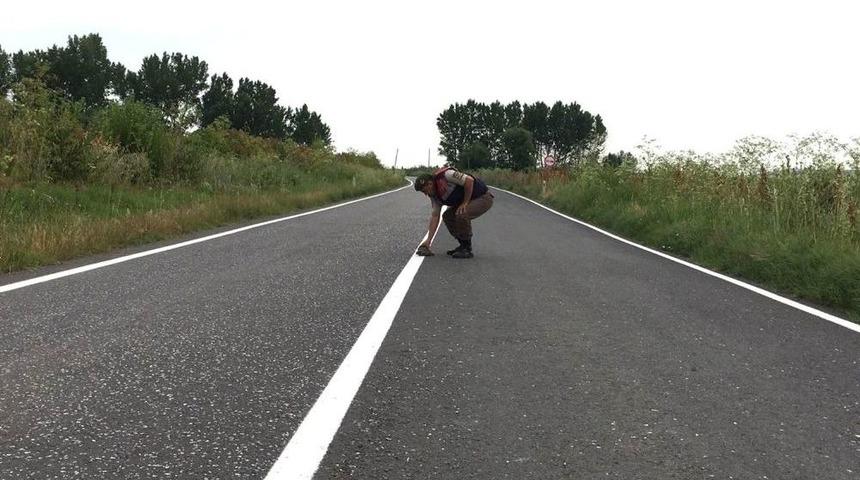 Yoldaki Kaplumbağa Jandarma Yardımı