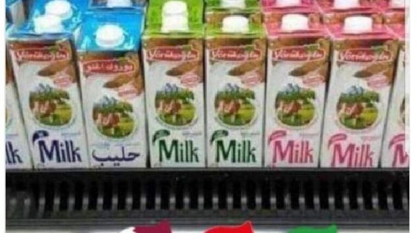 Antalya'dan Katar'a S&uuml;t, Yoğurt Ve Peynir Ihracatı