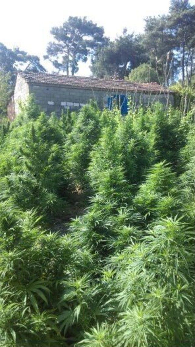 Jandarma’dan Tarihi Eser Ve Uyuşturucu Operasyonu 1