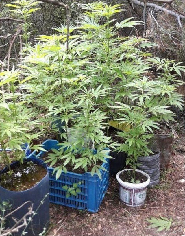 Jandarma’dan Tarihi Eser Ve Uyuşturucu Operasyonu 2