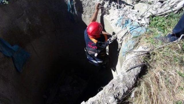 Elazığ'da Keçi Kurtarma Operasyonu