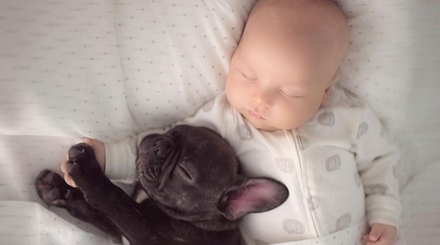 Aynı g&uuml;n doğup birbirini kardeş sanan bebek ve k&ouml;peğin aşırı tatlı hikayesi