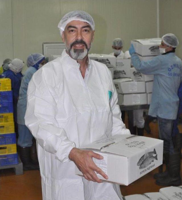 Rusya ya 500 Ton Balık Ihracatı 2