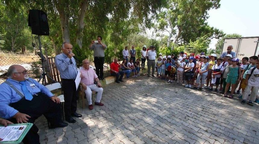 Atat&uuml;rk Ormanı 50 Yaşına Ulaştı