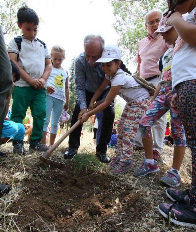 Atatürk Ormanı 50 Yaşına Ulaştı