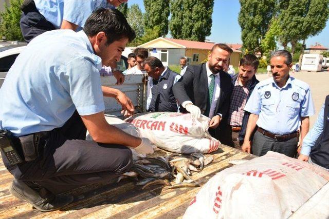 Tuşba&rsquo;da Ka&ccedil;ak Balık Operasyonu 1