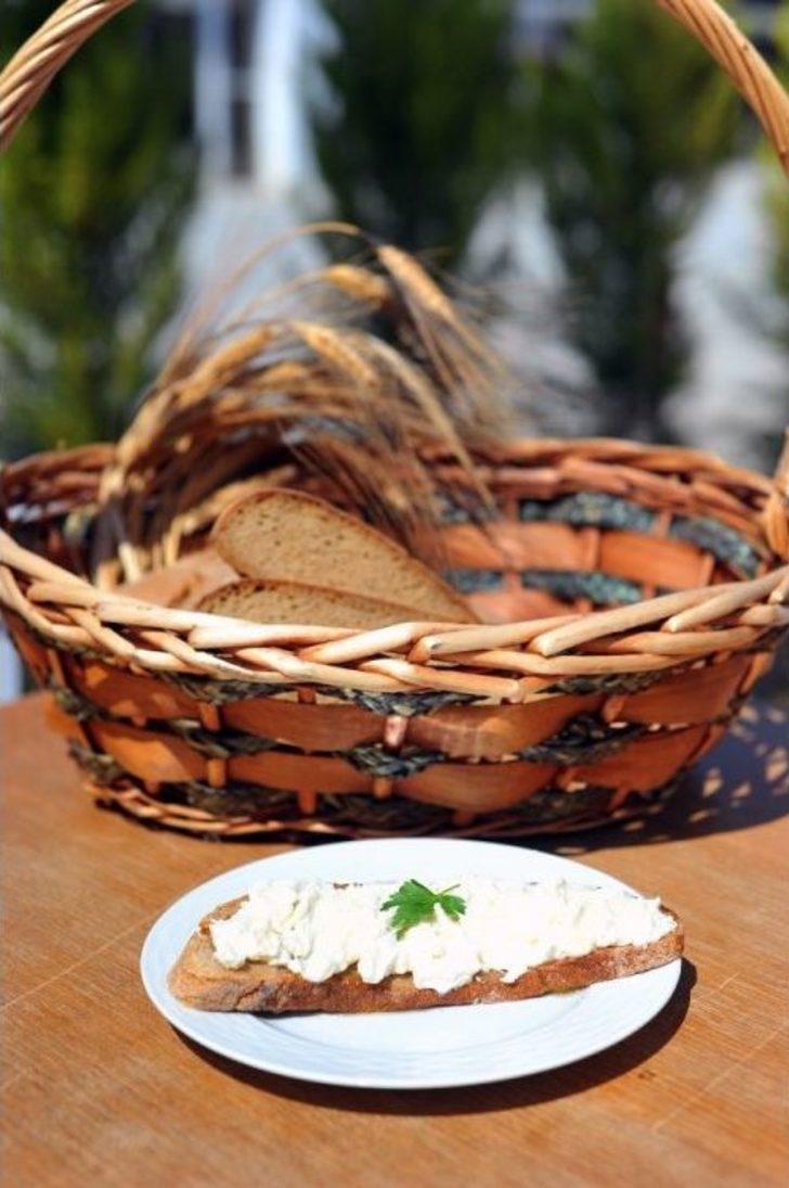 Sakin Şehir’de Ata Ekmeği Ve Armola Şenliği G5