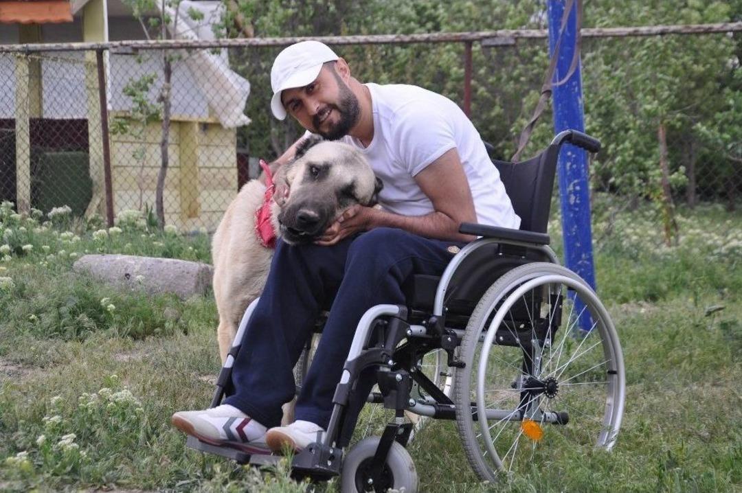Kangal K&ouml;peği Hayata Tutundurdu