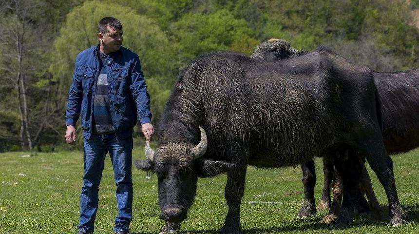 Pirin&ccedil;&ccedil;i K&ouml;y&uuml; İtalyanlar&rsquo;ın İlgi Odağı Oldu