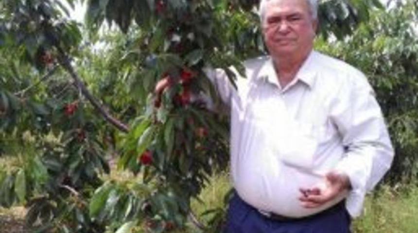 Kiraz Ve Erik İhracatını Yağışlar Vurdu