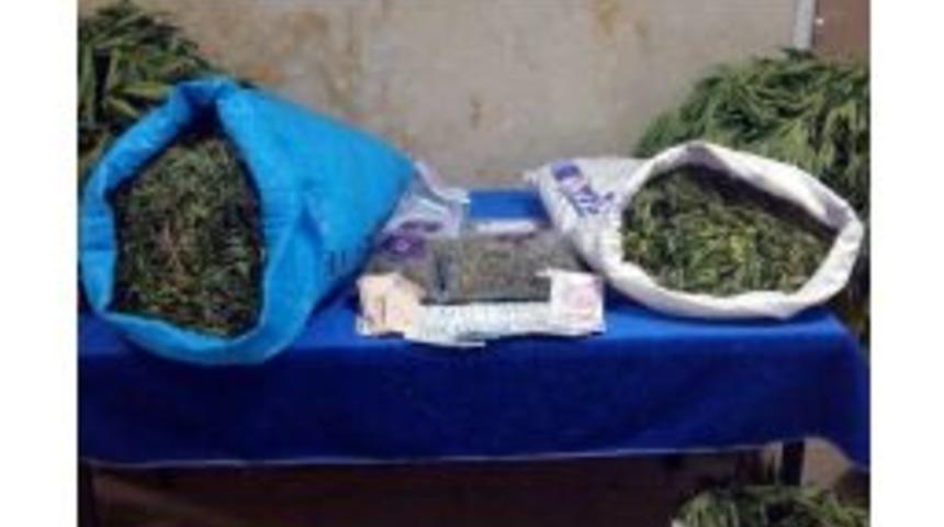 Elazığ&rsquo;da 22 Kilo Esrar İle 46 Bin K&ouml;k Kenevir Ele Ge&ccedil;irildi