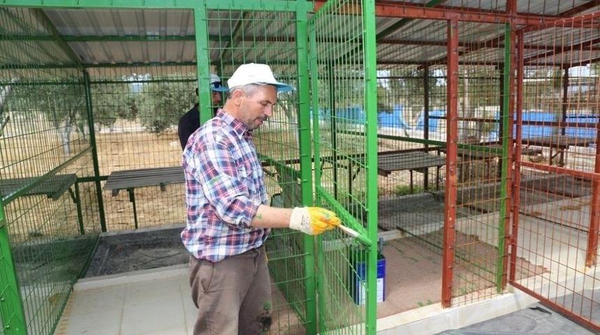 Burhaniye&rsquo;de K&ouml;pek Barınağı Genişletiliyor