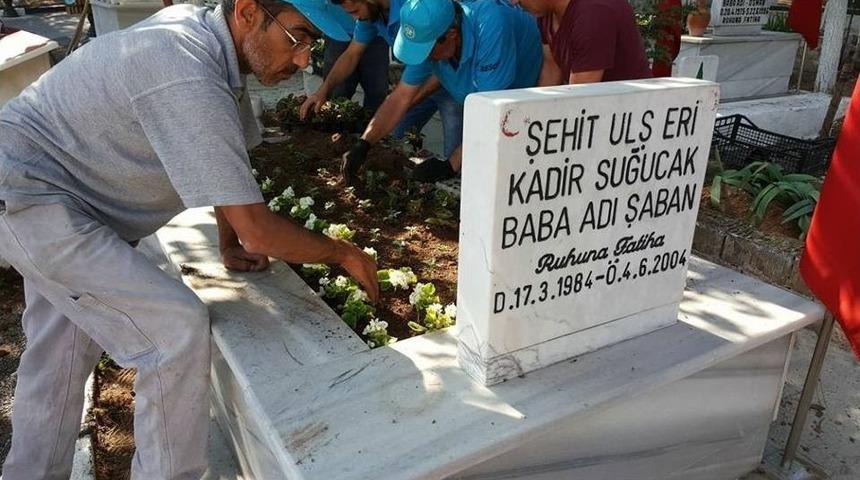 Mezarlıklar &Ccedil;i&ccedil;ek A&ccedil;maya Başladı