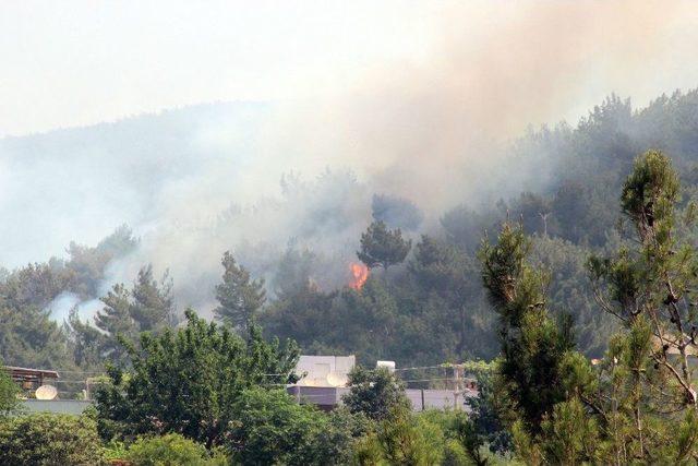 Hatay’da Terör Saldırısı