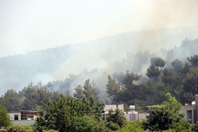 Hatay’da Terör Saldırısı