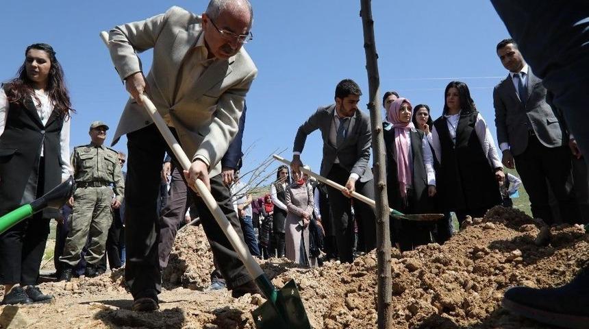 Ramazanın Sıcağında Ağa&ccedil;lara Can Verdi