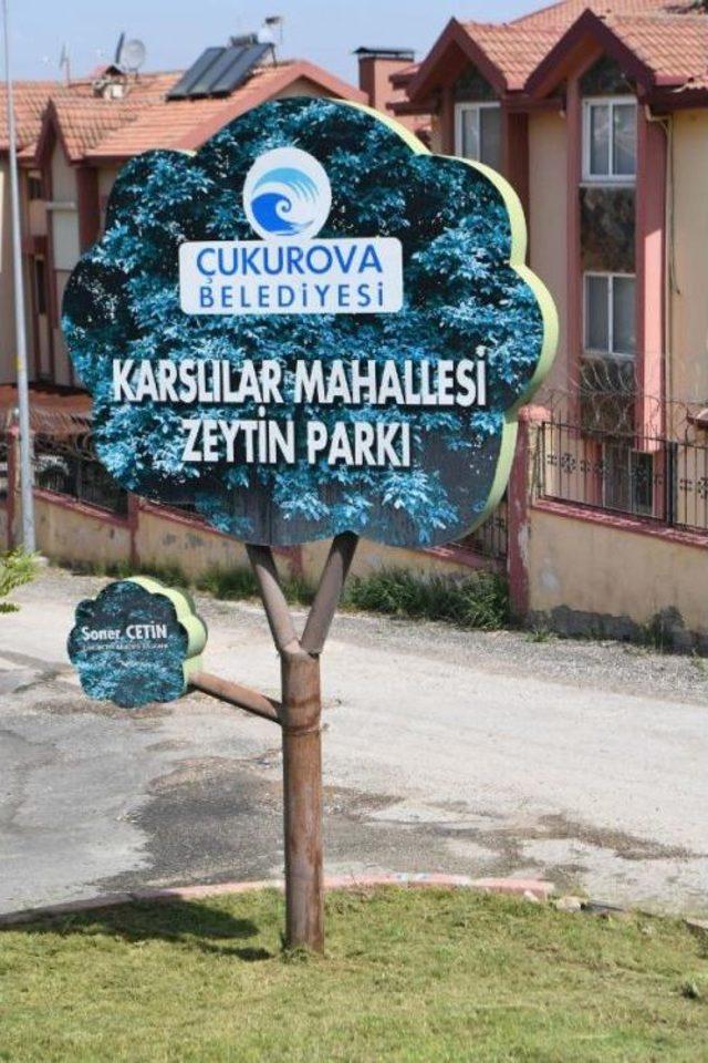 Çukurova'nın Parklarında Zeytin Yetişecek