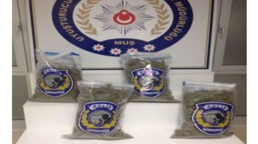 Muş&rsquo;ta Uyuşturucu Ve Asayiş Operasyonları