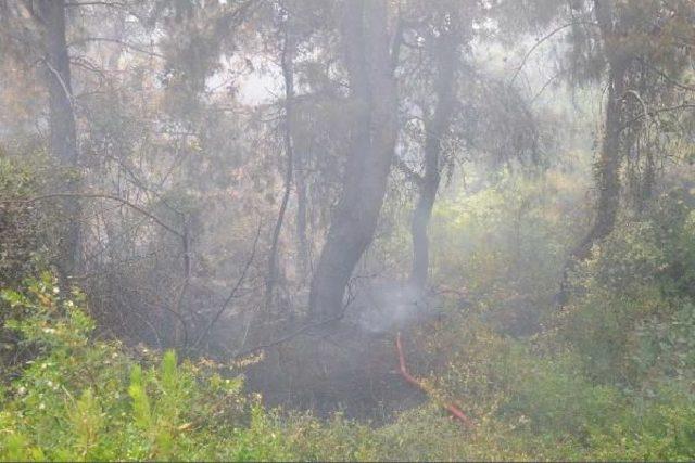 Amanoslarda Askeri Birliğe Roketatarlı Saldırı (2)