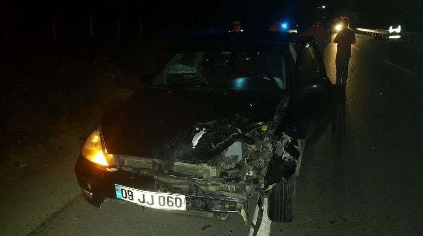 S&ouml;ke&rsquo;de Yola Fırlayan Domuz Kazaya Neden Oldu