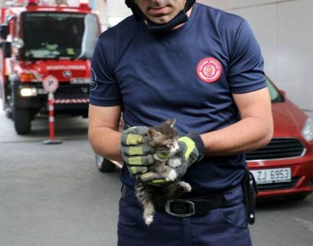 Şişli'de Araç Altına Sıkışan Kedi Itfaiye Tarafından Kurtarıldı