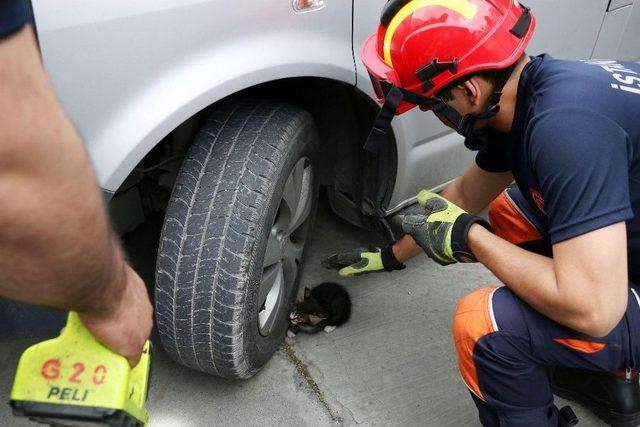 Aracın Motoruna Sıkışan Kediyi İtfaiye Kurtardı