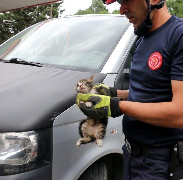 Aracın Motoruna Sıkışan Kediyi İtfaiye Kurtardı