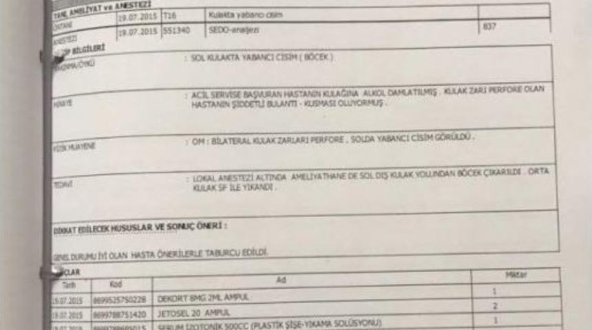 Kulağına Giren Sinek Hayatını Kararttı